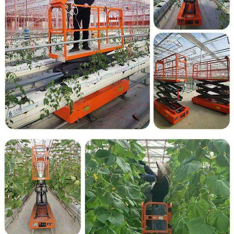 空升降采摘机蔬菜大棚果园用采摘升降平台2米3米4米升降采摘车