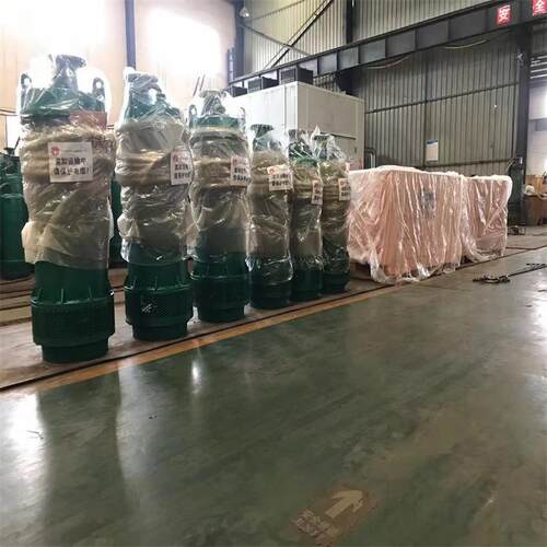 BQS200-30-37/N潜水泵 油室隔离 耐磨合金铸铁 BQS潜水泵