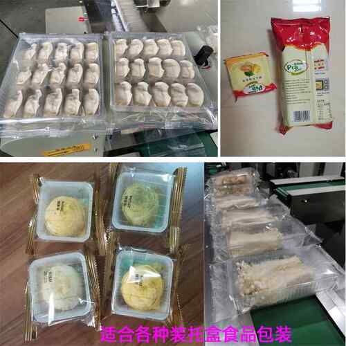 厂家直送销全自动云吞饺228子式包装机速冻饺子向输横枕包装设备