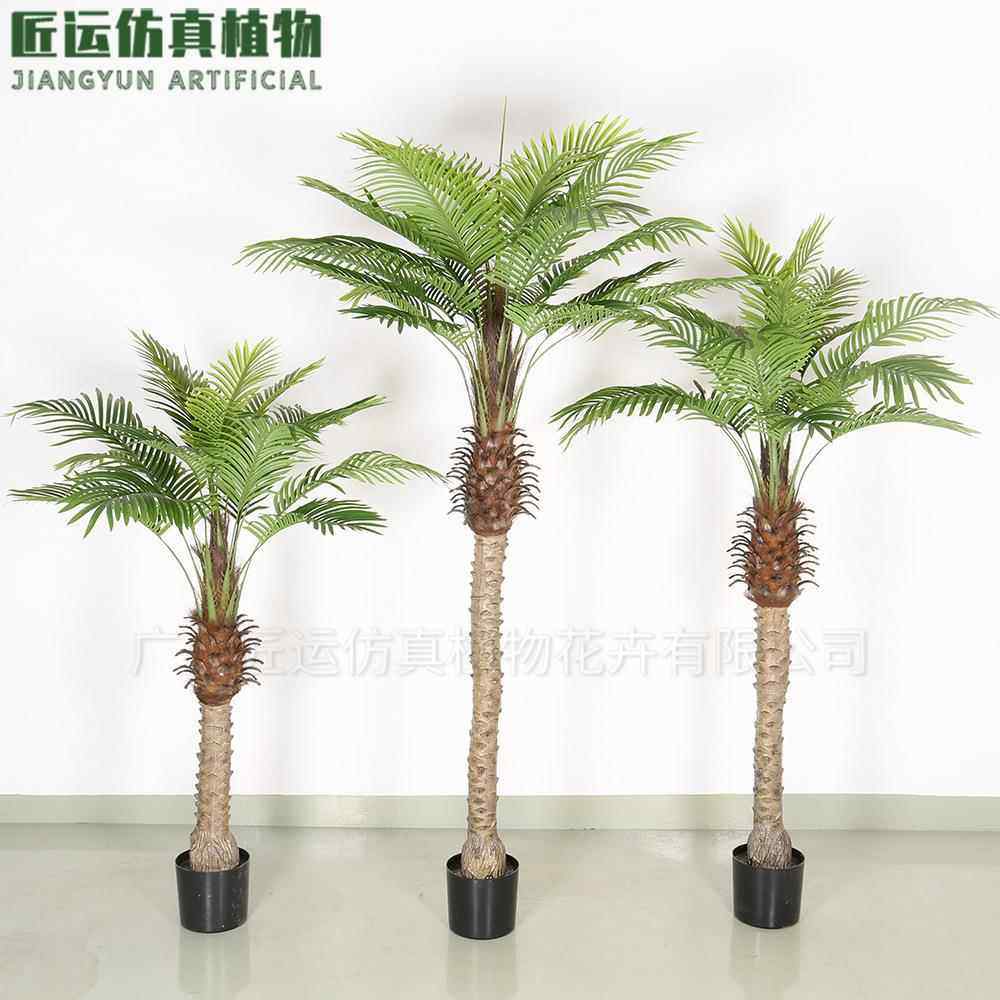 室内软装大型仿真针葵树植物盆栽 塑胶杆针葵树造景葵树仿生植物