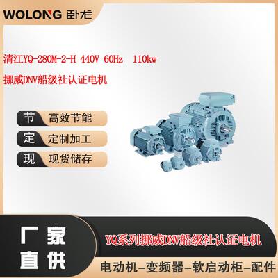 清江YQ-280M-2-H 440V 60Hz 110kw 挪威DNV船级社认证电机