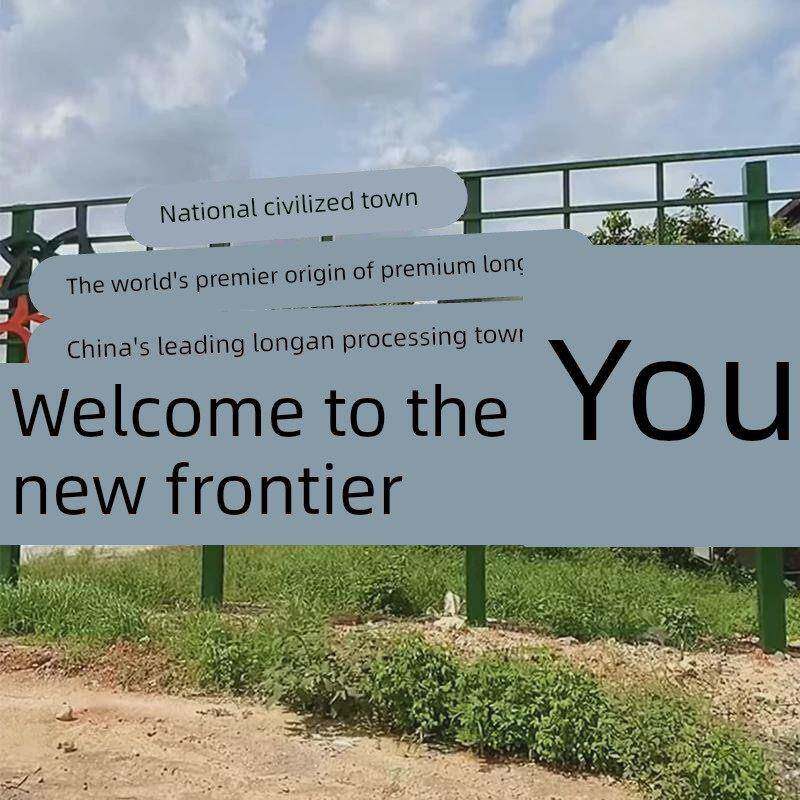 官方旗舰店高州桂圆肉500g农家特产龙眼肉干无核无添加