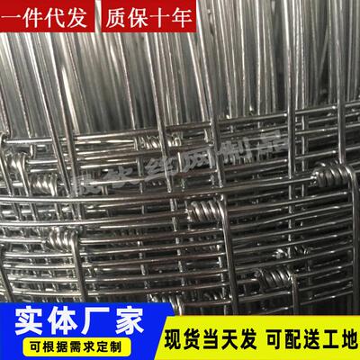 牛羊栏网园圈地钢丝防围栏网养殖牛鸡果护网镀锌铁丝EWH网围栏护