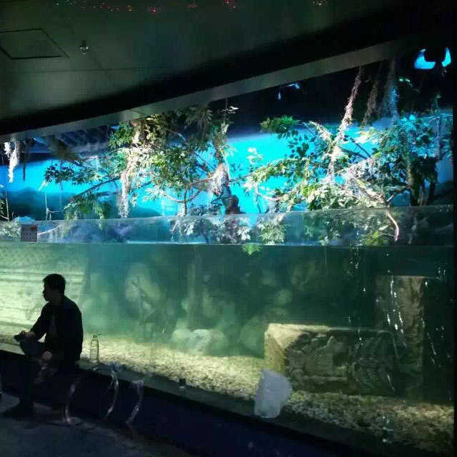 大型海洋馆景观】亚克力鱼缸【鱼缸工程设计力亚克
