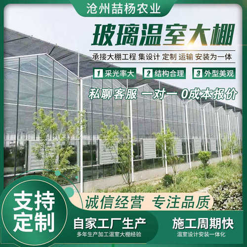 玻璃大棚 智能连栋玻璃温室 生态餐厅 科研温室 温室大棚骨架