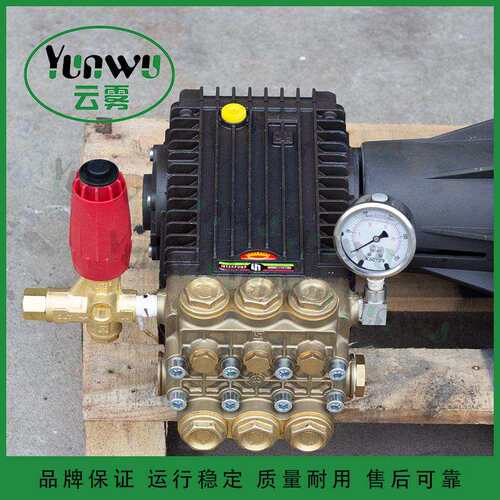 专业维修配件齐全意大利INTER英特原装进口高压泵W2141及密封件