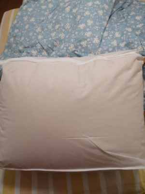 鸿润95%白鹅羽绒被怎么样值得入手吗？讲讲看