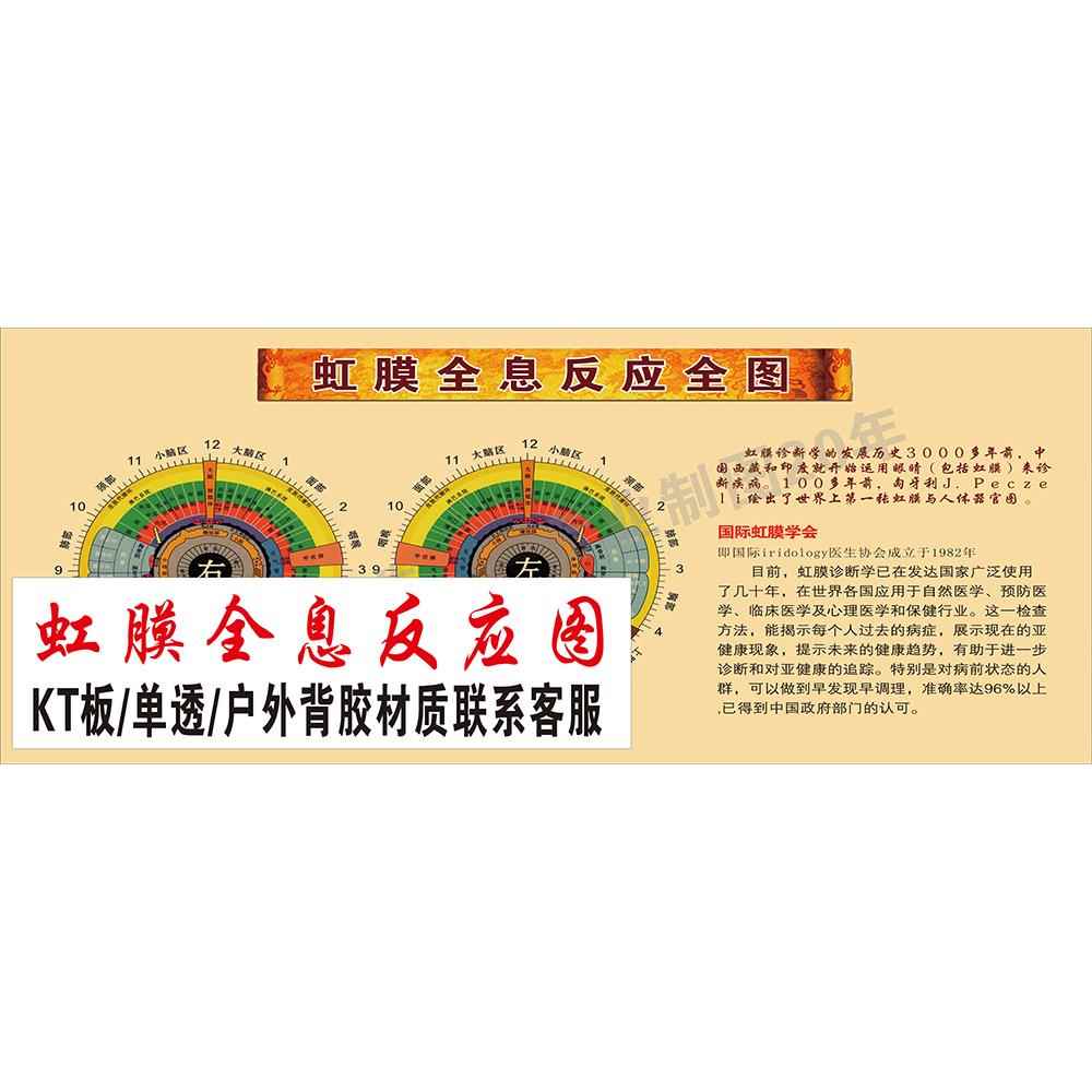 虹膜全息反应墙贴纸眼科贴纸医学知识挂图医疗科普宣传海报装饰画
