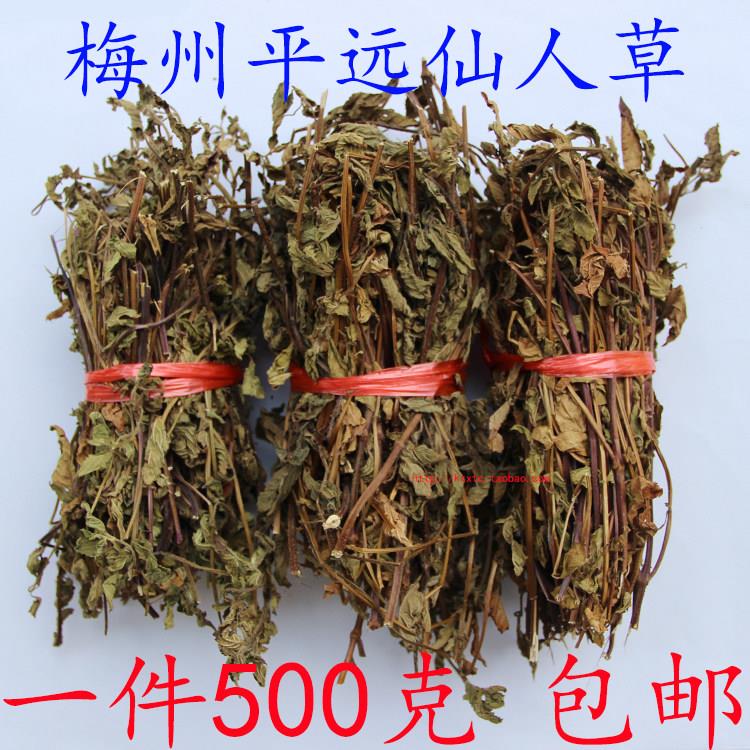 仙人草梅州仙草干仙草烧仙草凉粉草仙草干原料黑凉粉散装 包邮