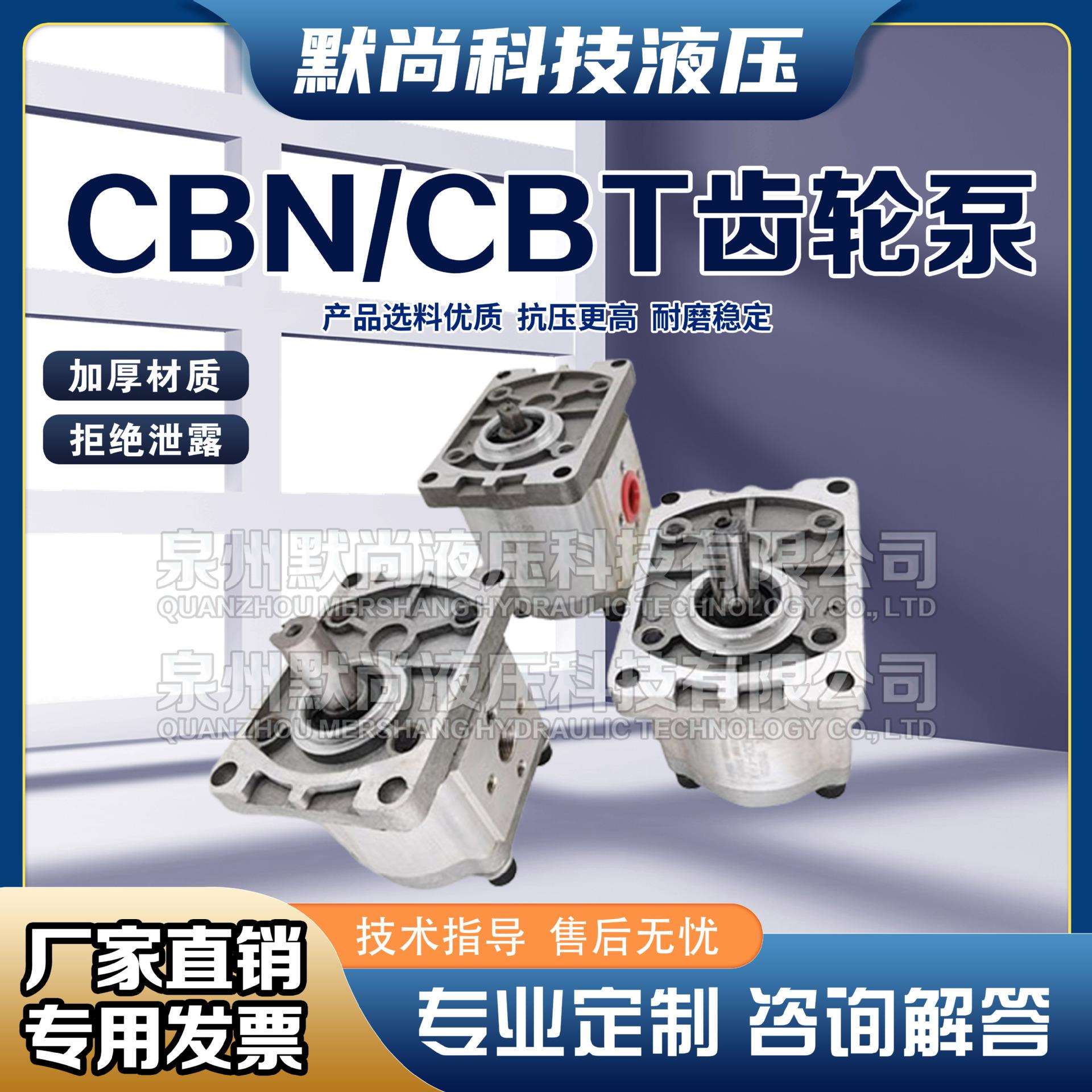 液压齿轮泵CBN-F310/314/316/320/325小型高压油泵液压泵总成泵头图片