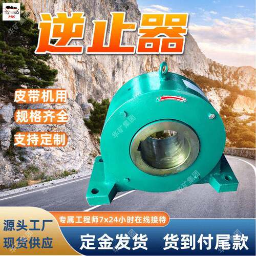 皮带输送机用逆止器 防止倒滑 NYD(NJ)50皮带输送机用逆止器