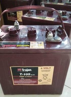 Trojan 动力铅酸蓄电池T105-AGM6V230AH观光车旅游车专用电瓶