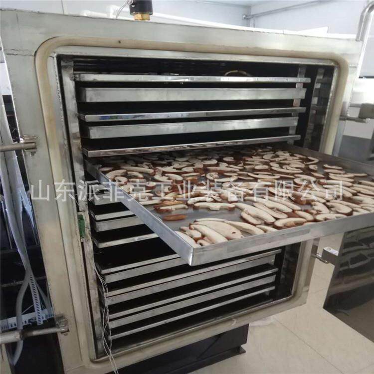 5㎡型冻干乳酸菌粉真空冷冻干燥机 乳酸菌粉冻干机