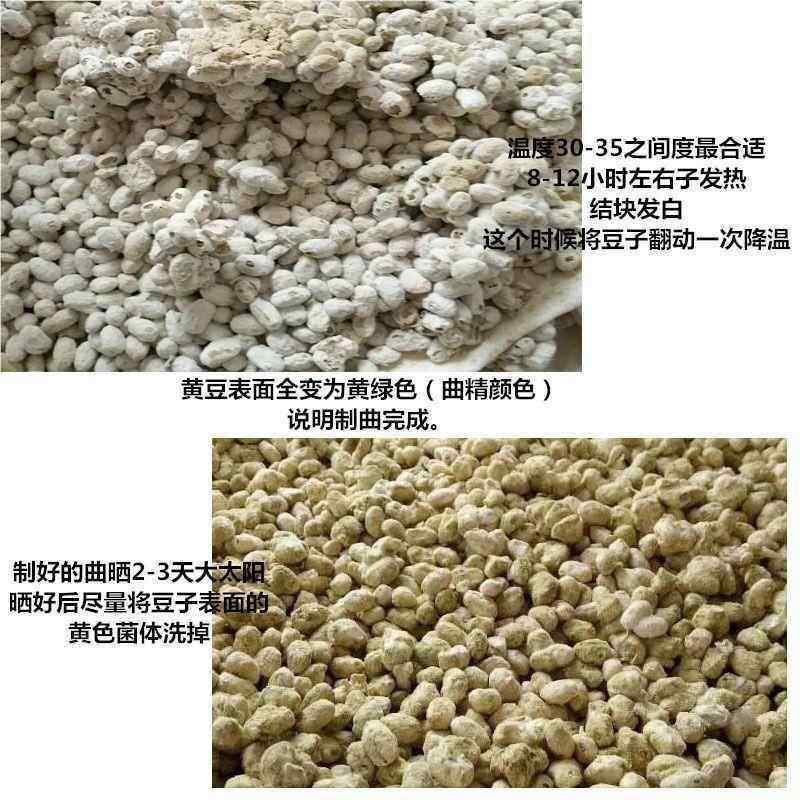 酱油发酱酵菌酱油发酵粉做酱的发酵大酱黄豆油发酵油酱菌品GXZ发,粮油调味/速食/干货/烘焙,酵母粉,淘宝优惠券,粉丝福利购,淘宝优惠卷