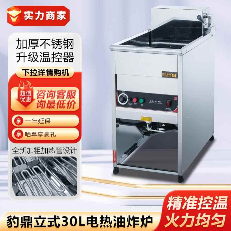 豹鼎立式电炸炉20L30L商用油炸炉双缸电炸锅油炸机炸薯条炸鸡排炉