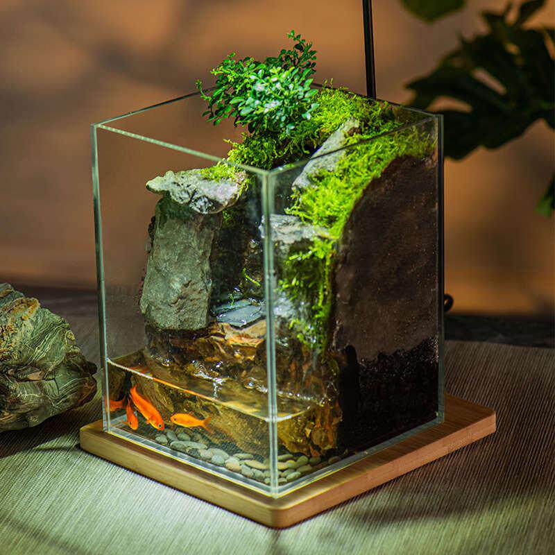 石上清泉流水款养鱼缸真植物苔藓微景观生态瓶办公室成品室内送礼
