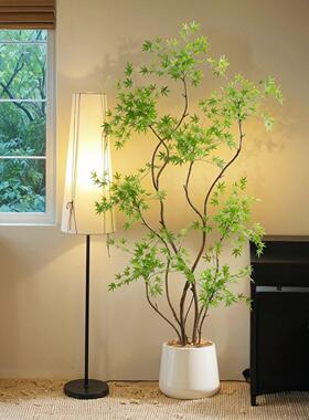 彷生植物枫树高级感轻奢落地摆件彷真绿色植物室内客厅家居美学装