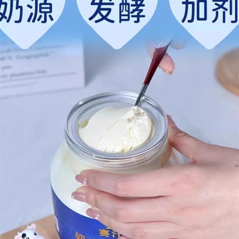 维聪乳业赛罕苏奶皮子原味老酸奶1000g/2桶原味蒙古皮子酸奶