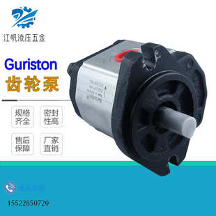 23R 台湾Guriston齿轮油泵2GG1P08R 17R 2GG1B33R油泵配件 11R