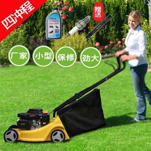 斯机特克四冲程汽油草坪机手推草式割机LJG器除草小家型用园林打