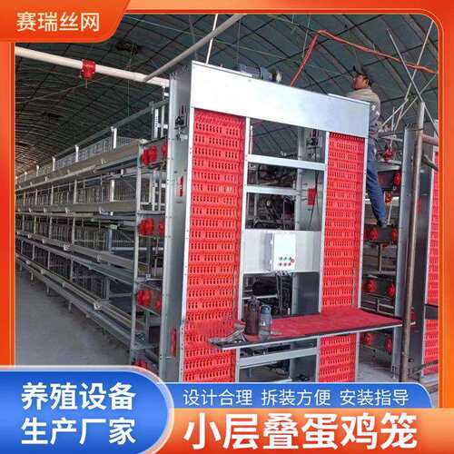 层叠式框架全自动清粪捡蛋养鸡设备H型小层叠蛋鸡笼3层/4层鸡笼