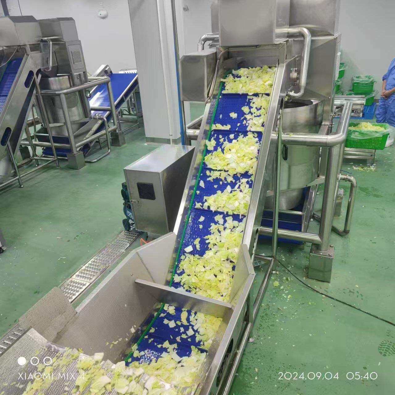 东黄酸菜脱盐清洗机洗瓜片清脱盐机葡萄樱桃北气泡翻浪EVH清洗线