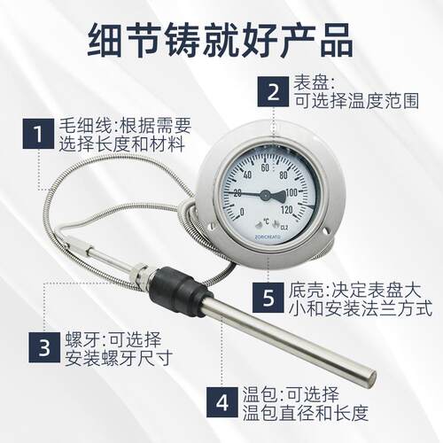 电压力式度计高温型机械式铠装温软管可ZORICREA调节接点锅温炉数