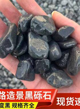 铺路造景砾石黑色石子碎石园林庭院水洗石户外营地民宿铺地洗米石