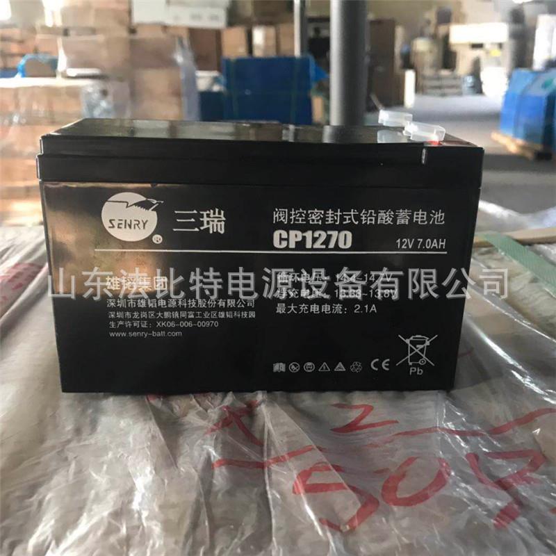 VISION蓄电池6FM100-X 三瑞蓄电池12V100AH 免维护储能蓄电池