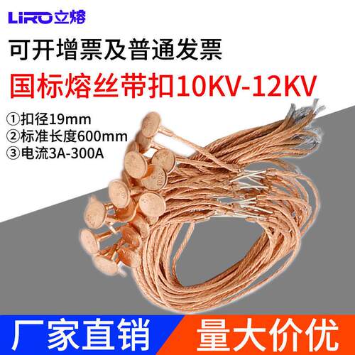 国标高压熔丝带扣10KV/25A30A40A50A60A75跌落式熔断器RW用保险丝