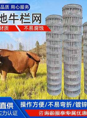 镀锌铁丝养殖护栏网草原钢丝围网圈地果园围栏网羊鹿马农场牛栏网