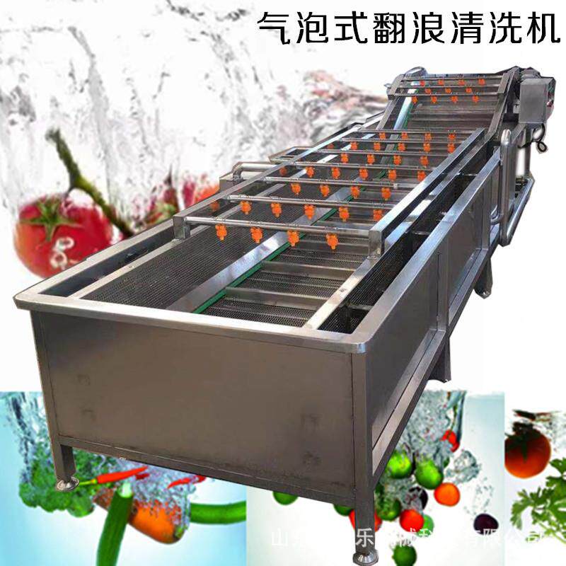 宇之乐商用气泡清洗机 黄豆角酸豆角清洗机 网带气泡式蔬菜清洗机