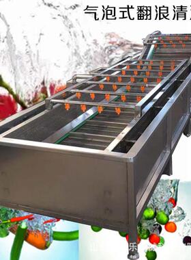 山野菜清洗机 冲浪式气泡清洗机 海带清洗脱盐机 芥菜丝脱盐机