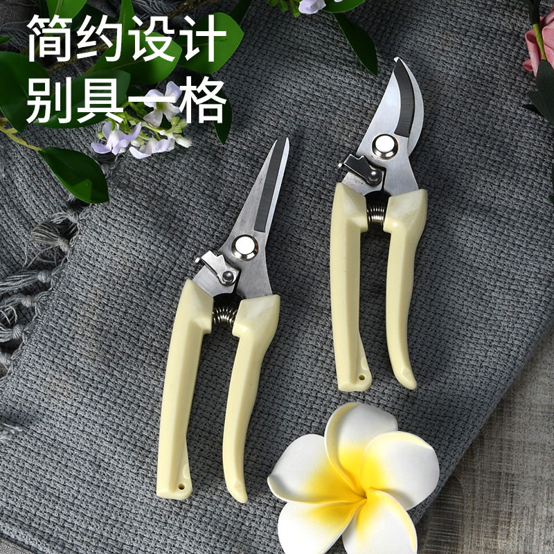 树枝树枝修枝园艺园艺用品套装
