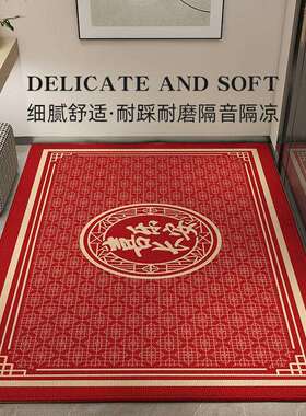 入户门垫进门地垫大门口防滑脚垫出入平安家用除尘垫红色玄关地毯