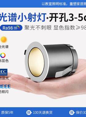 射灯嵌入式小钻孔5cm聚光迷你小射灯小孔径3cm4公分酒柜led展柜灯