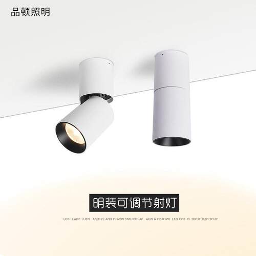 明装射灯家用可调节家居商业照明可折叠90°旋转天花射筒摇头12W