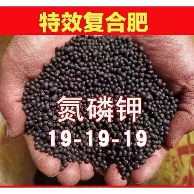 氮磷钾三元复合肥有机肥花肥花卉绿植蔬菜果树专用肥通用水溶肥料 - 实物图