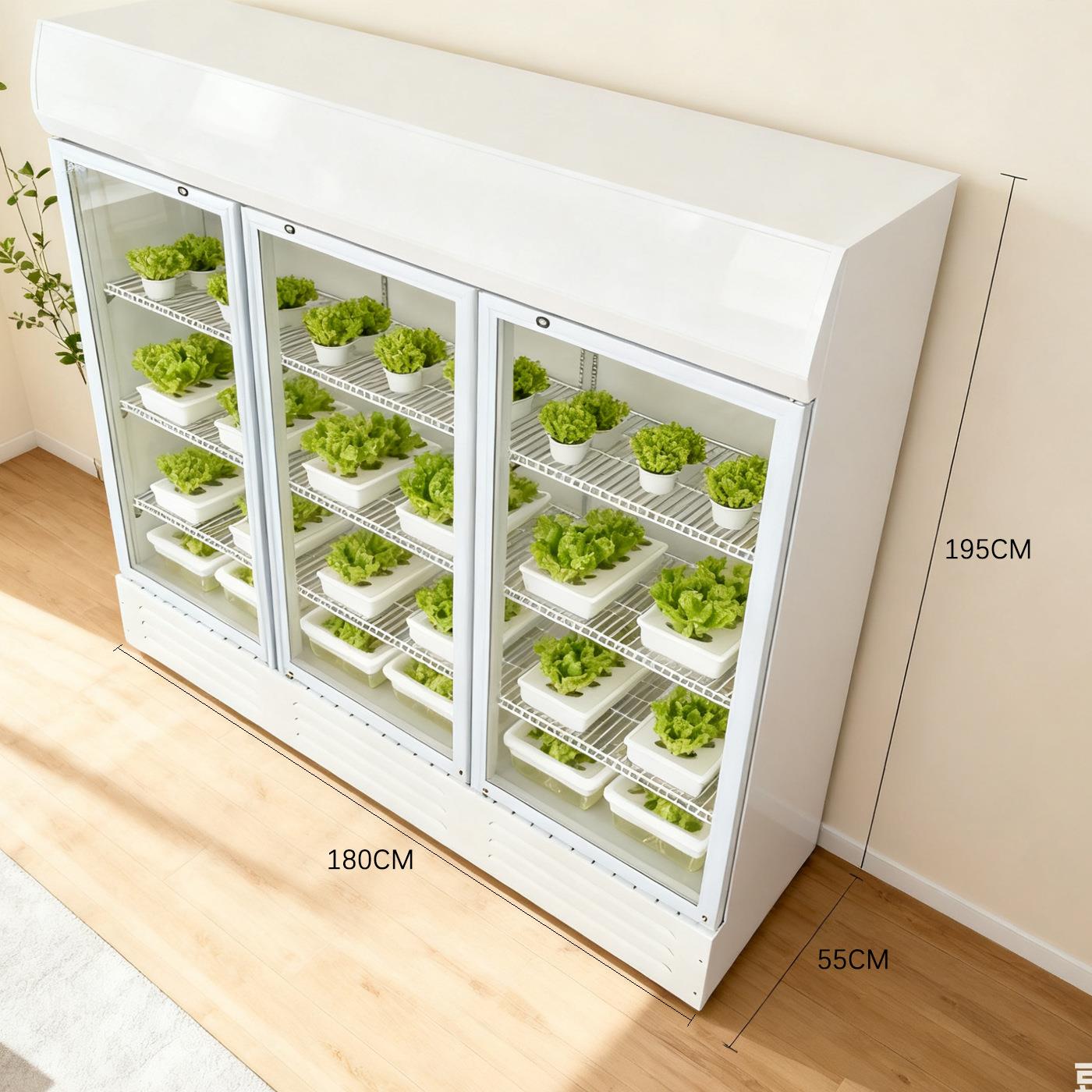 家用种植多功能空气净化增氧机多层水培栽培容器家用蔬菜种植设备