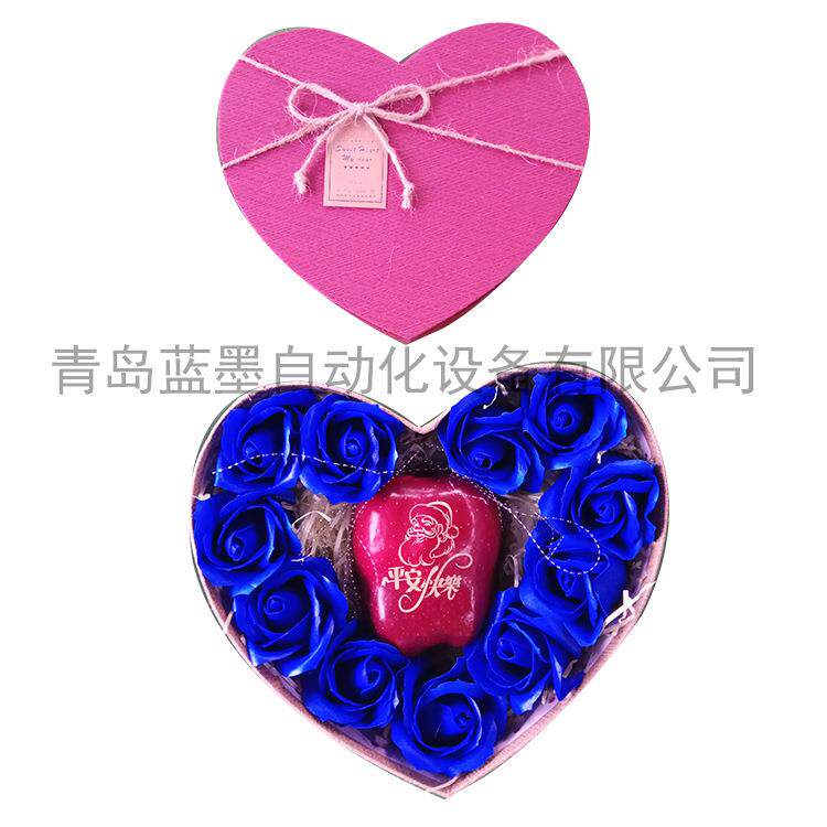 苹果印字机