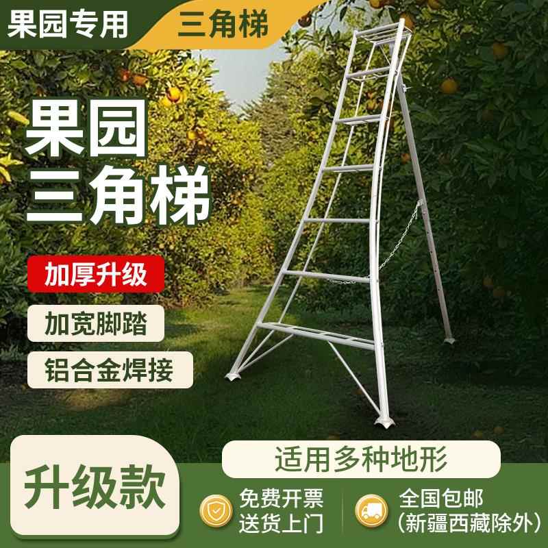 果园专用三角梯园林专用三角梯铝合金焊接人字梯加厚家用三脚梯