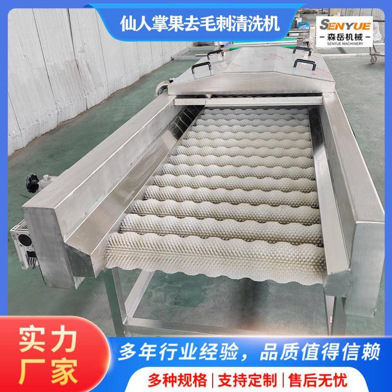 仙人掌果去毛刺清洗机器果蔬平行毛辊清洗设备仙桃清洗机生产厂家