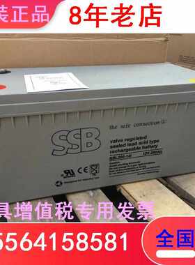 SSB蓄电池SBL200-12  UPS/EPS直流电源 12V200AH发电厂铁路设备