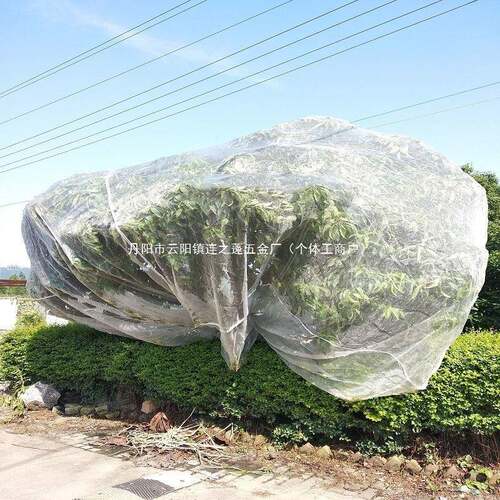 60目80目加厚抗老化纱窗网纱布防虫网大棚塑料猪场纱网杨梅窗纱网