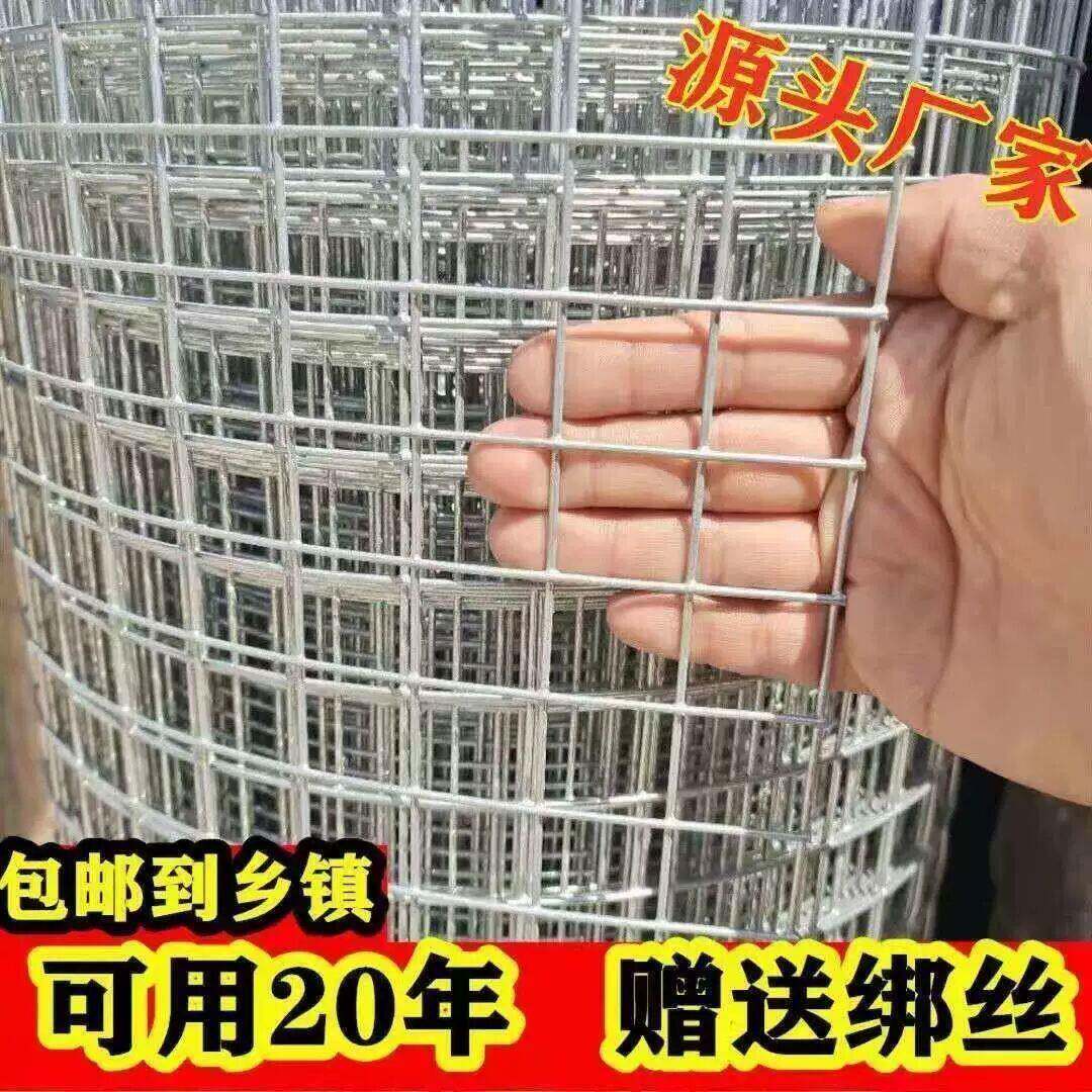 热镀锌铁丝网围栏网养殖网钢丝网拦鸡网建筑网防护网铁网格玉米网