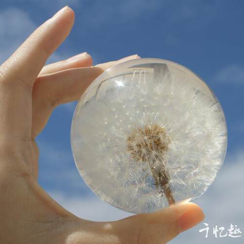 蒲公英标本树脂水晶球植物装饰品胶水完成永恒花镇纸音乐盒夜灯