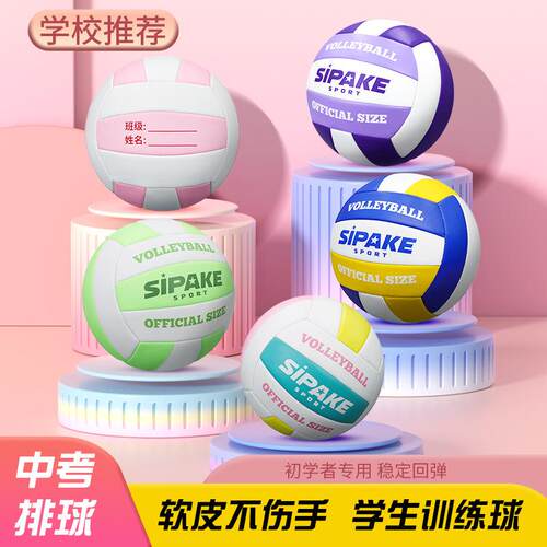 排球5号机缝pvc加厚气排球成人青少年中考训练专用耐磨沙滩排球
