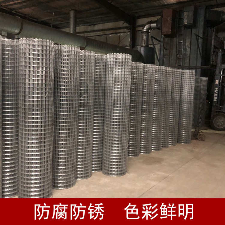 铁丝网批发围栏网 3厘米网格养殖防护网 荷兰网 果园养殖围栏养鸡