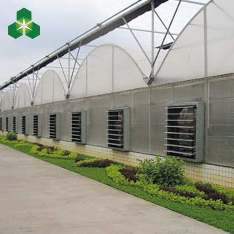 塑料薄膜温室大棚 连栋大棚 遮阳农用连栋薄膜大棚 温室大棚,农机/农具/农膜,温室大棚支架,淘宝优惠券,粉丝福利购,淘宝优惠卷