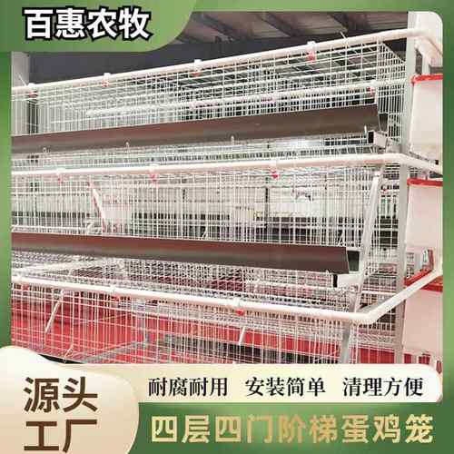 养殖场用层叠式四层四门蛋鸡笼设备镀锌多层阶梯式笼养鸡设备厂